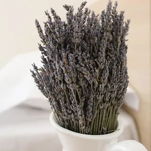 Lavandula Ring Appartamento